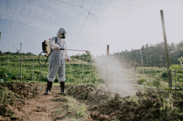 Best Pest Removal Services  in Bardonia, NY