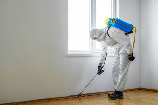 Best Termite Control Services  in Bardonia, NY