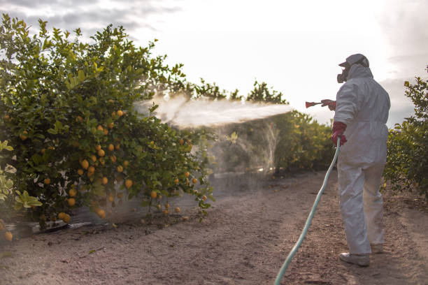 Best Mosquito Control Services  in Bardonia, NY