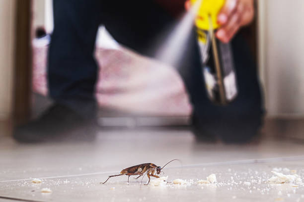 Best Rodent Control Near Me  in Bardonia, NY